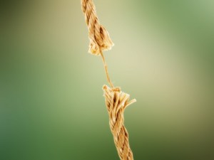 Image: Francesco Marino / FreeDigitalPhotos.net